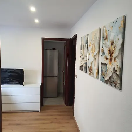 Apartment Flor De Lis