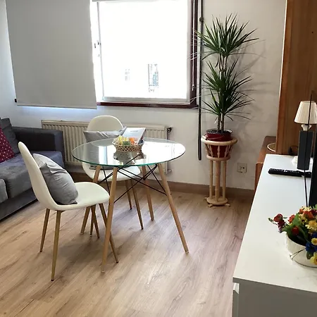 Apartment Flor De Lis *